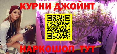 крисы Ливны